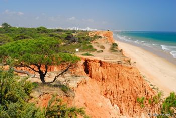Klify nad plażą Praia da Falesia, Algarve, południowa Portugalia