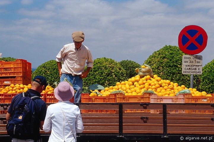 Kram z pomarańczami w miejscowości  Praia da Rocha, Algarve, Portugalia