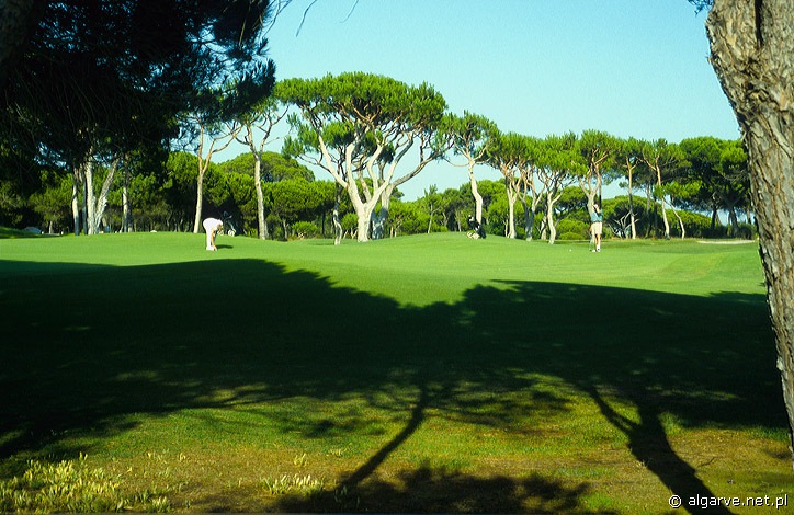 Pole golfowe na skałach plaży Praia Falesia, Algarve, południowa Portugalia