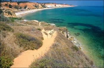 Zdjęcie plaży Praia de Falesia w Algarve, Portugalia